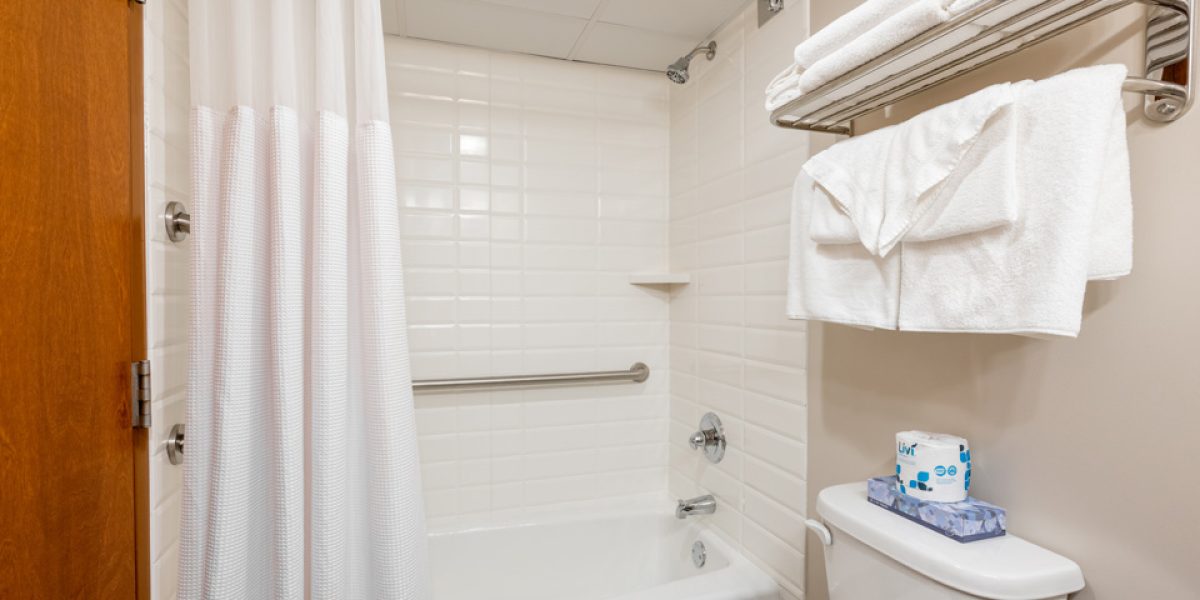 Double Queen tub shower2